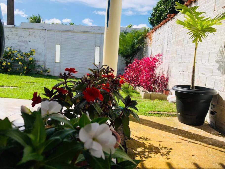 Apartmán Casa Em Barreirinhas 01 Exteriér fotografie